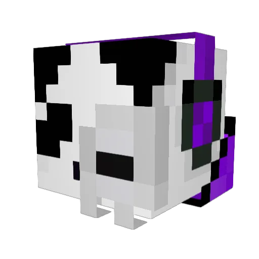PandaMan4450 Minecraft avatar head, 3D render