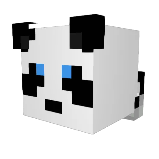 PandaManJay Minecraft avatar head, 3D render