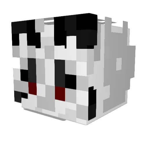 PandaMark08 Minecraft avatar head, 3D render