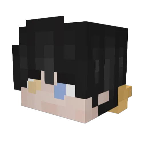 PandaMaster51 Minecraft avatar head, 3D render