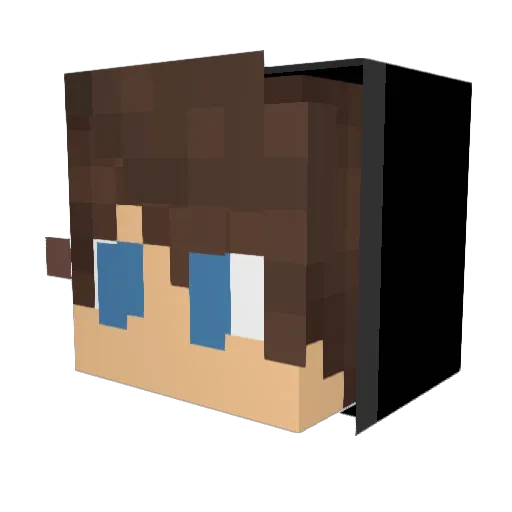 PandaMiks11 Minecraft avatar head, 3D render