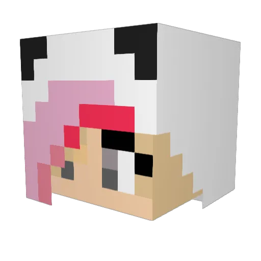 PandaMiya501 Minecraft avatar head, 3D render