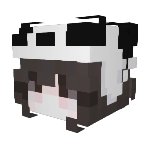PandaNerd9 Minecraft avatar head, 3D render