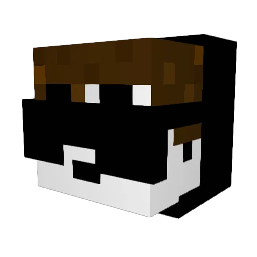 PandaNoodles Minecraft avatar head, 3D render