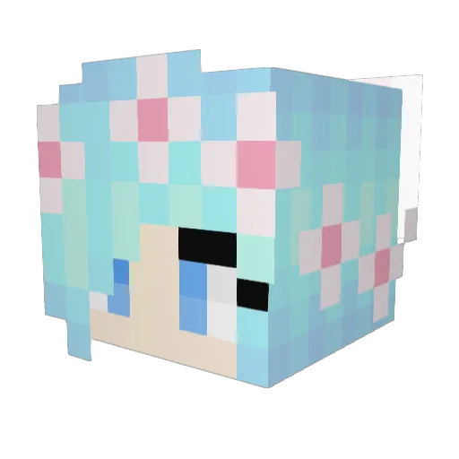 PandaPuppy339 Minecraft avatar head, 3D render