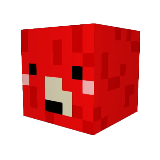 PandaQuarterback Minecraft avatar head, 3D render