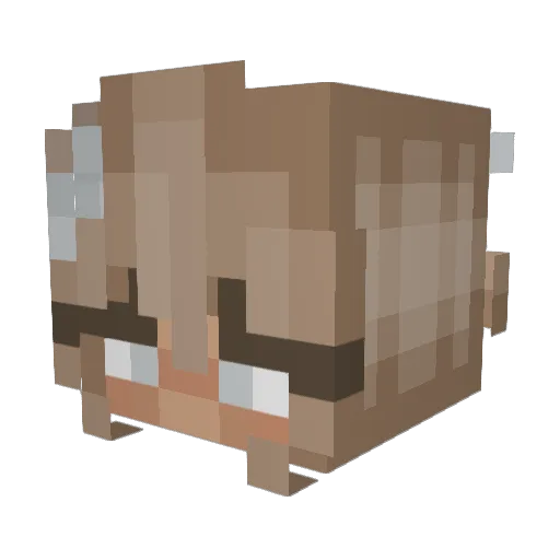 PandaRae8 Minecraft avatar head, 3D render
