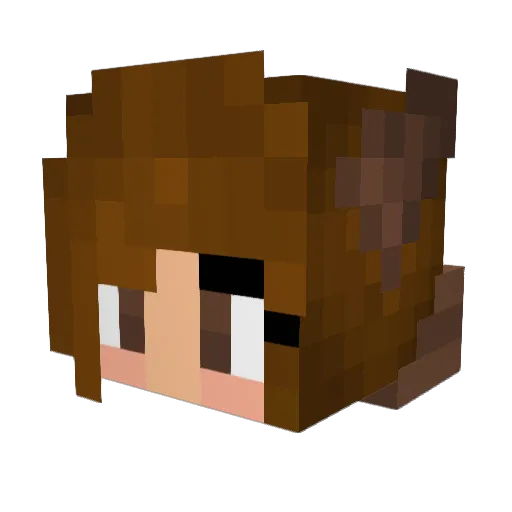 PandaRoux27972 Minecraft avatar head, 3D render