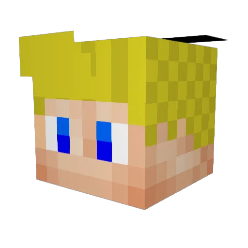 PandaSalem Minecraft avatar head, 3D render