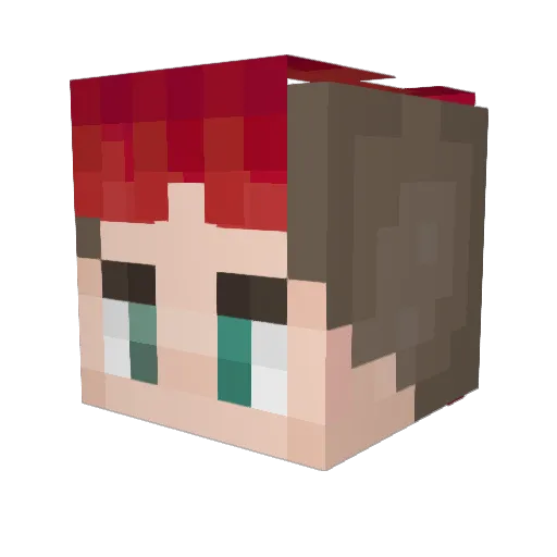 PandaShark71004 Minecraft avatar head, 3D render