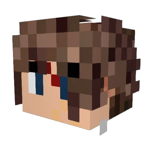 PandaShiftz Minecraft avatar head, 3D render