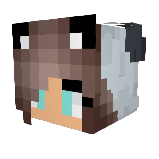 PandaSophie Minecraft avatar head, 3D render