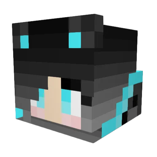 PandaSwag84 Minecraft avatar head, 3D render