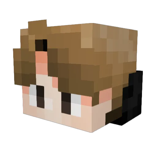PandaSwof Minecraft avatar head, 3D render