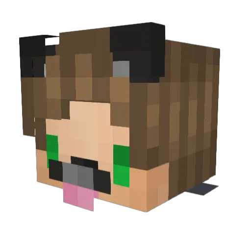 PandaSyrup Minecraft avatar head, 3D render