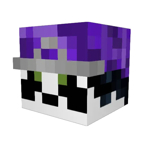 PandaTG8 Minecraft avatar head, 3D render