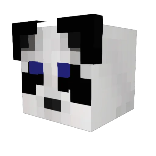 PandaTenFejm Minecraft avatar head, 3D render