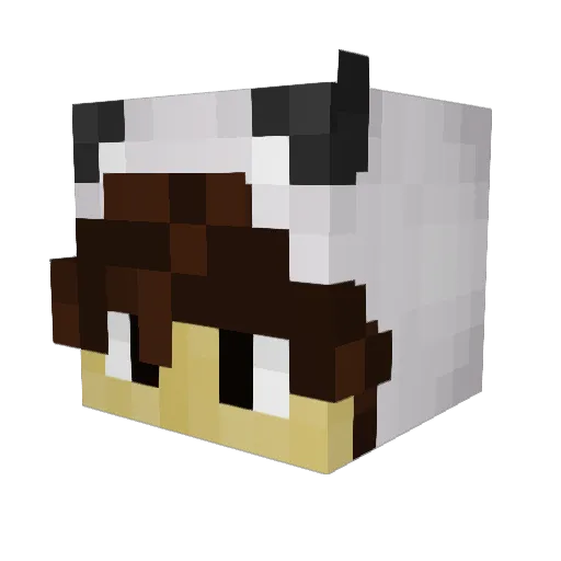 PandaTheWildGuy Minecraft avatar head, 3D render