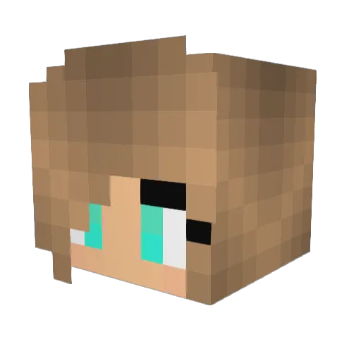 PandaTheorem Minecraft avatar head, 3D render