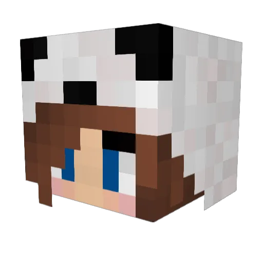 PandaVeAt Minecraft avatar head, 3D render