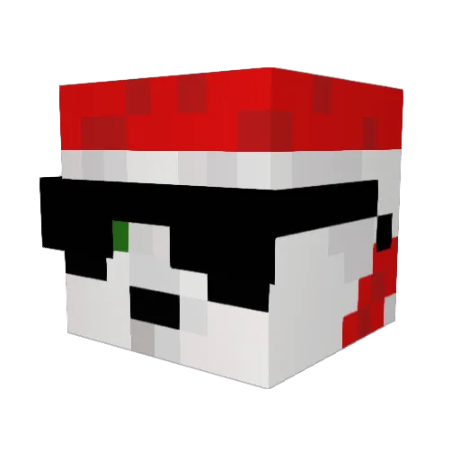 PandaWarrior100 Minecraft avatar head, 3D render