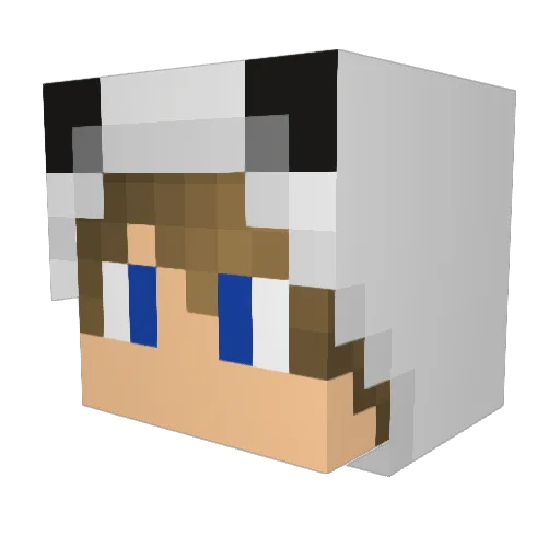 PandaZockerHD Minecraft avatar head, 3D render