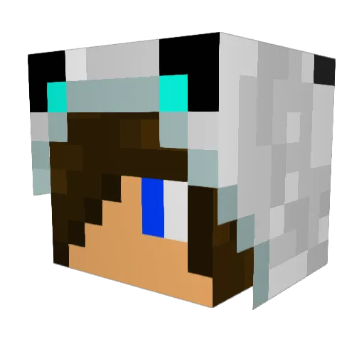 Panda_10_ Minecraft avatar head, 3D render