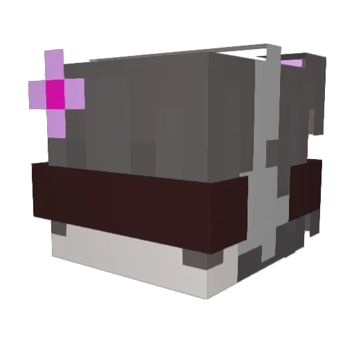 Panda_4_future Minecraft avatar head, 3D render