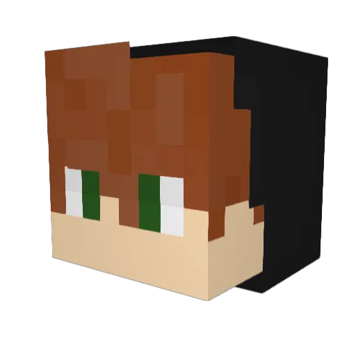 Panda_9001 Minecraft avatar head, 3D render