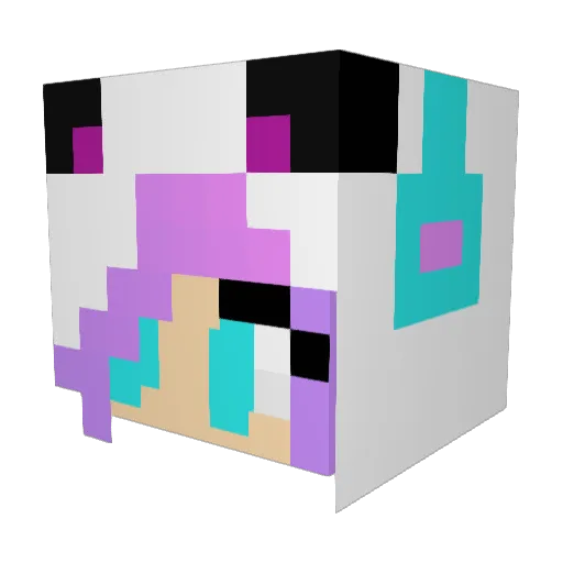 Panda_Bear15243 Minecraft avatar head, 3D render