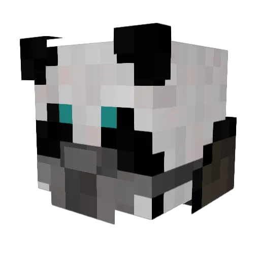 Panda_Bolado Minecraft avatar head, 3D render