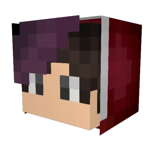 Panda_Boy1023 Minecraft avatar head, 3D render
