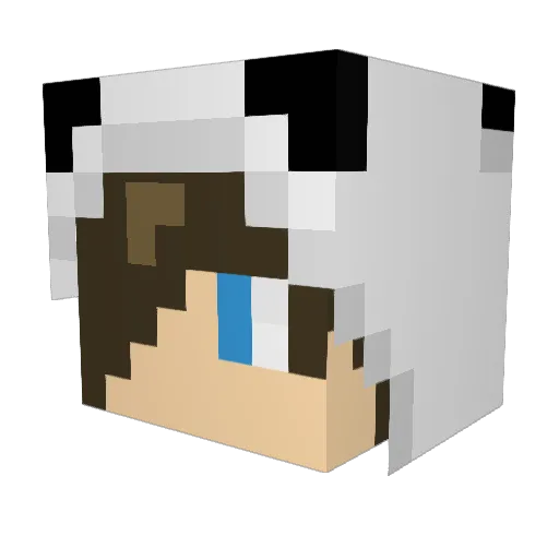Panda_Boy_ Minecraft avatar head, 3D render
