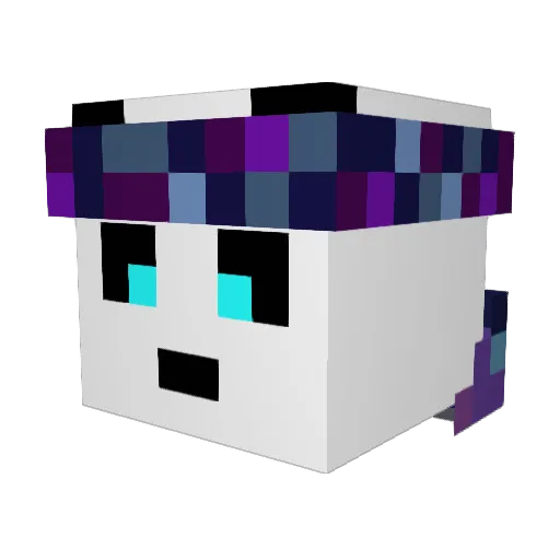 Panda_Dawg351 Minecraft avatar head, 3D render