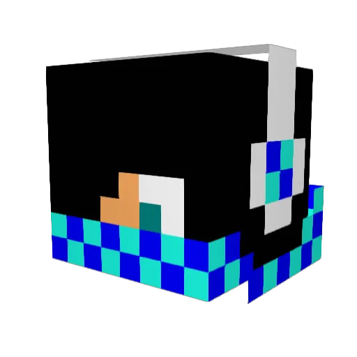 Panda_Gam3ing Minecraft avatar head, 3D render