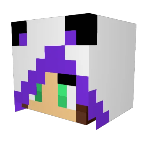 Panda_Gamer197 Minecraft avatar head, 3D render