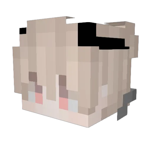 Panda_GanGG Minecraft avatar head, 3D render