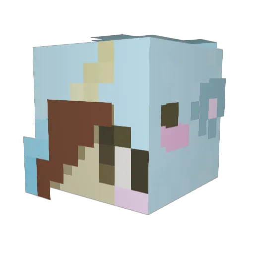 Panda_Girl567 Minecraft avatar head, 3D render