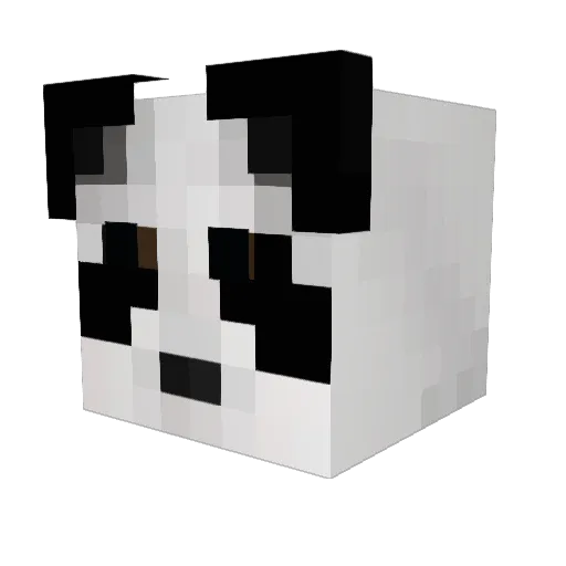 Panda_King47 Minecraft avatar head, 3D render