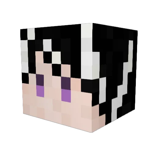 Panda_KunKUN Minecraft avatar head, 3D render