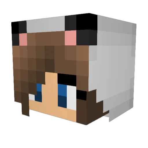Panda_Lord_ Minecraft avatar head, 3D render