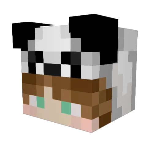 Panda_Monium12 Minecraft avatar head, 3D render