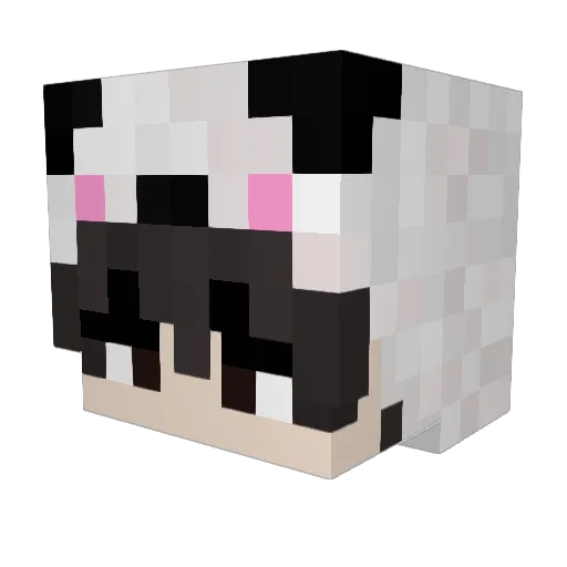 Panda_Quadrado Minecraft avatar head, 3D render