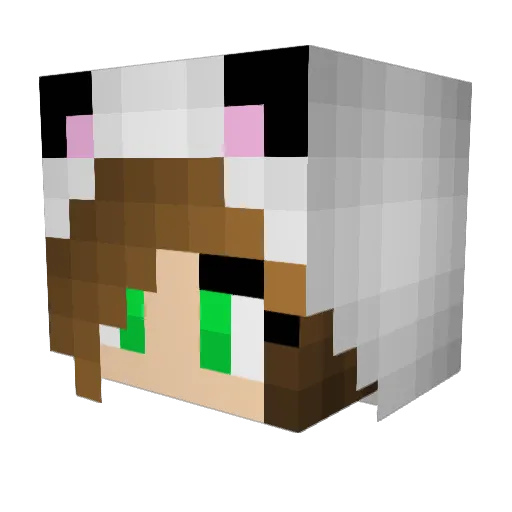 Panda_Rae Minecraft avatar head, 3D render