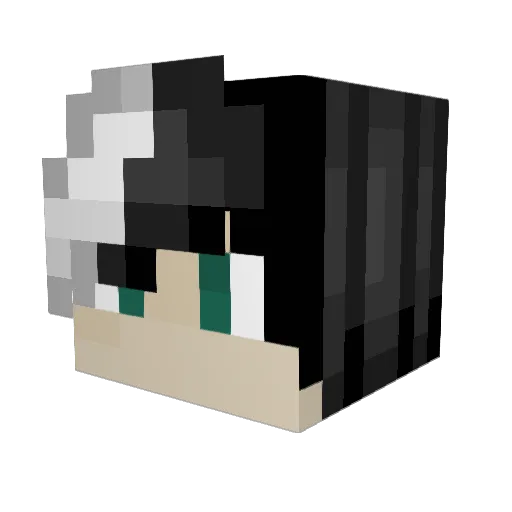Panda_W3ird Minecraft avatar head, 3D render