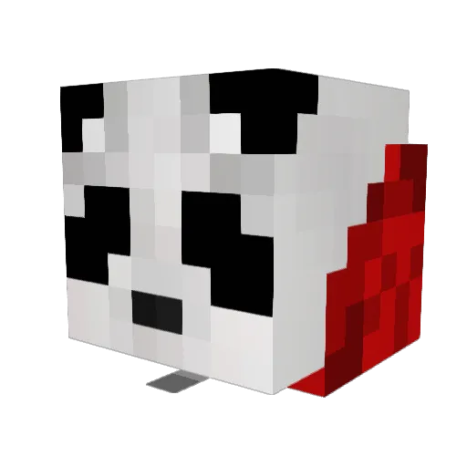 Panda_Warrior125 Minecraft avatar head, 3D render