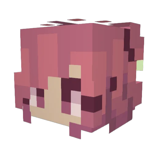 Panda_Whale Minecraft avatar head, 3D render