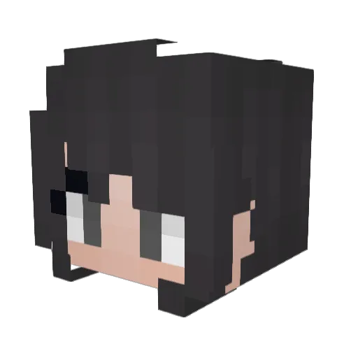 Panda_Willis Minecraft avatar head, 3D render