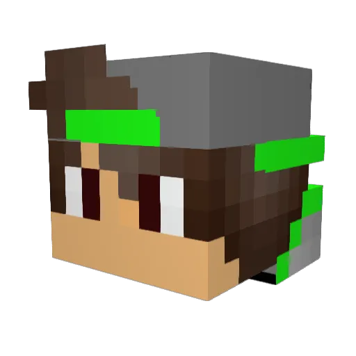 Panda_Zocker_T Minecraft avatar head, 3D render