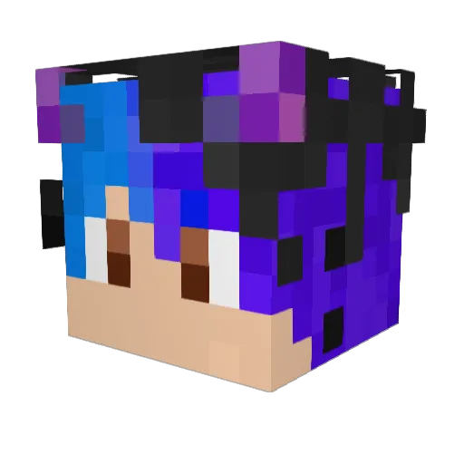 Panda_ber Minecraft avatar head, 3D render